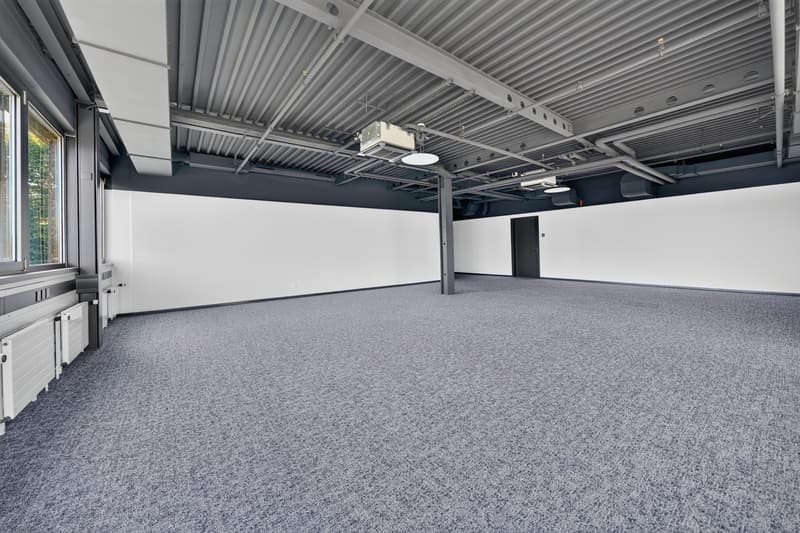 Uffici ristrutturati di 100m2 in affitto a Saint-Sulpice (3)