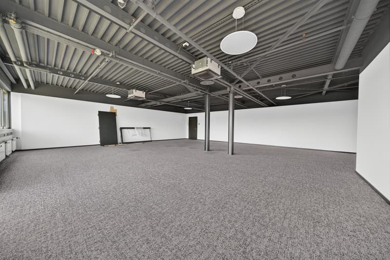 Bureaux rénovés de 117m2 à louer à Saint-Sulpice (2)