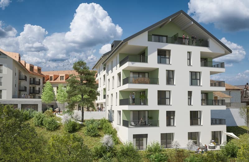 Ristorante in affitto - 195 m² - Route de Vevey 2a, Blonay (4)