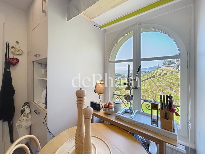 Prächtige 4-Zimmer-Wohnung mit atemberaubendem Blick! (8)