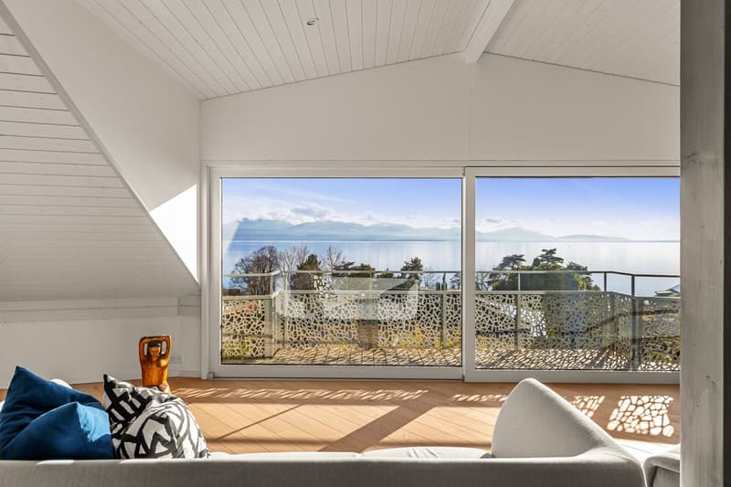 Magnifique villa individuelle à deux pas du lac! (12)