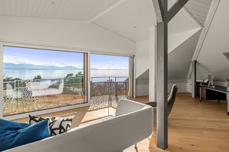 Magnifique villa individuelle à deux pas du lac! (8)