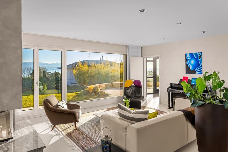 Magnifique villa individuelle à deux pas du lac! (2)