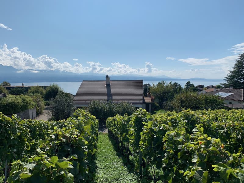 Lutry - Villa familiale de 6 pièces avec vue sur le lac (2)