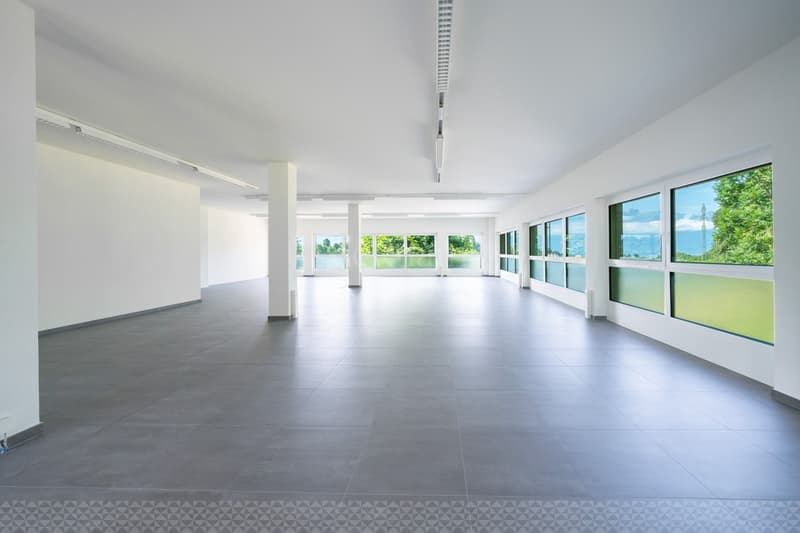 Surface de bureau de 70m2 et 100m2 à Saint-Légier (7)