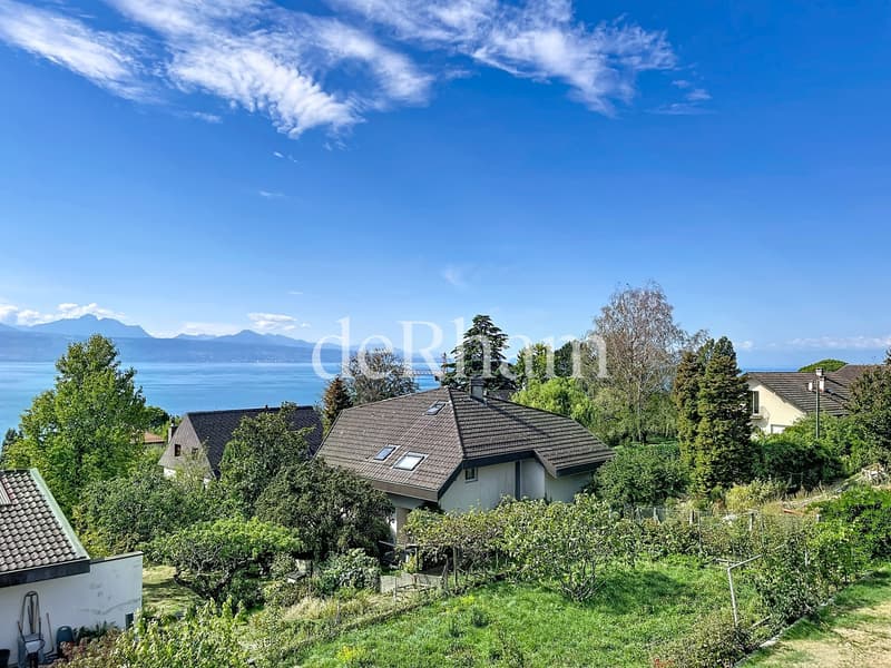 Lutry - superbe villa rénovée avec vue panoramique sur le lac! (2)