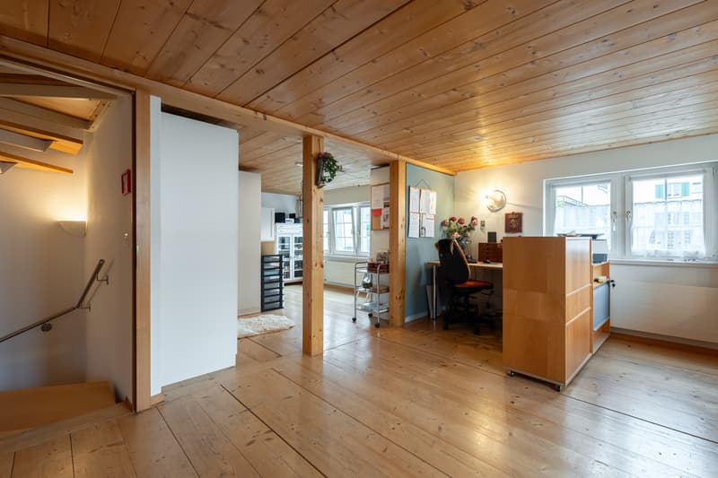 Rare. Historic. Unique. Your new home in Richterswil. (6)