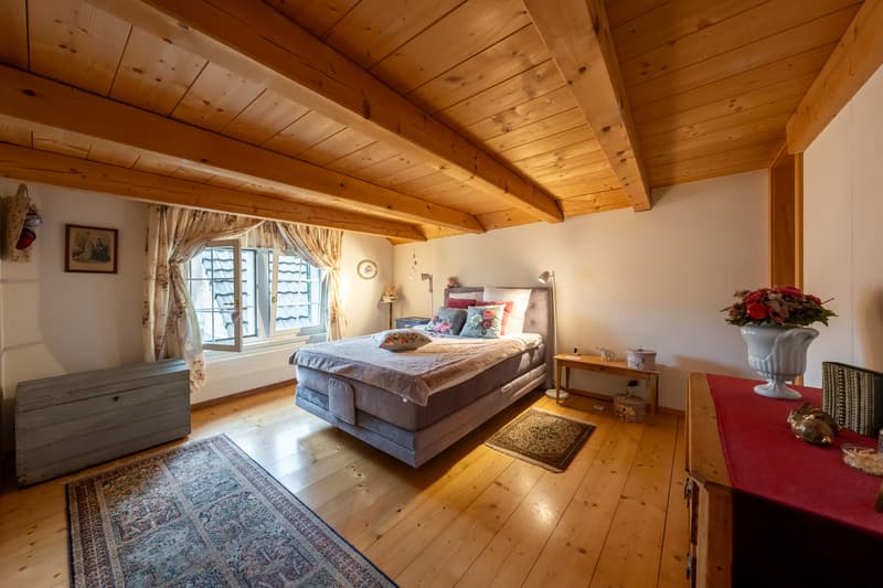 Rare. Historic. Unique. Your new home in Richterswil. (5)