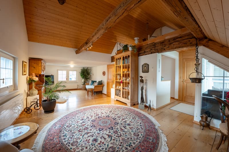 Rare. Historic. Unique. Your new home in Richterswil. (4)