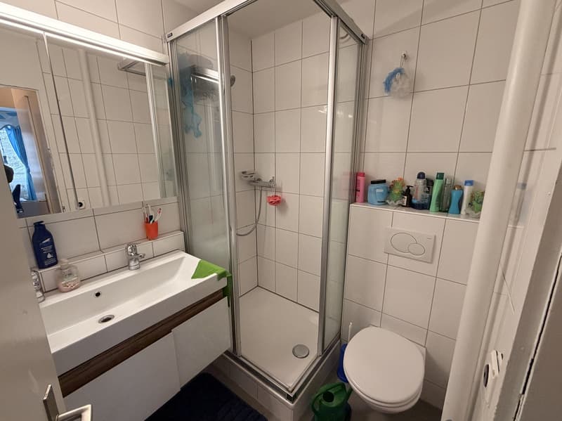 white tiled walls, white sink, shower with glass door, toilet, shelves with toiletries, mirror, blue rug