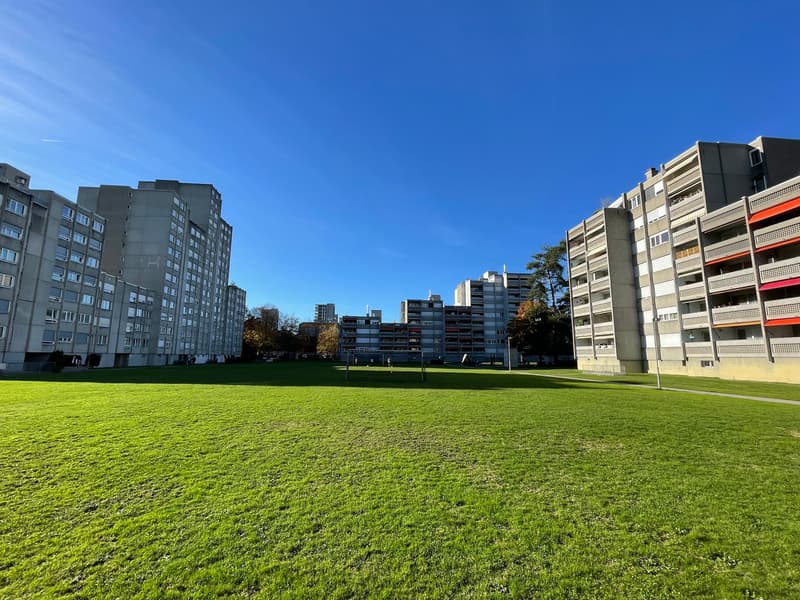 green lawn, 4 buildings, 3 in the background, paved path in the foreground
