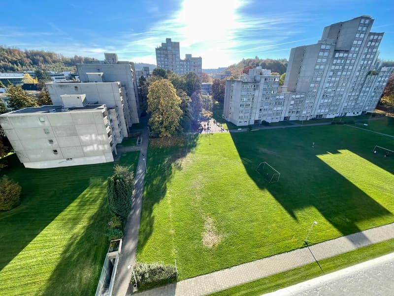 Large open area with green lawn, trees, pathway, multiple buildings in the background, and a soccer goal.