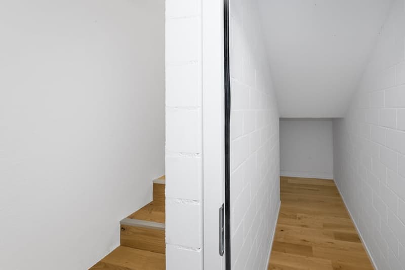 Charming single-family house in a quiet location in Urtenen-Schönbühl (20)