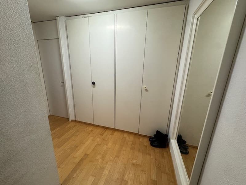 A hallway with a floor-to-ceiling wardrobe on one side and a mirror on the opposite side.