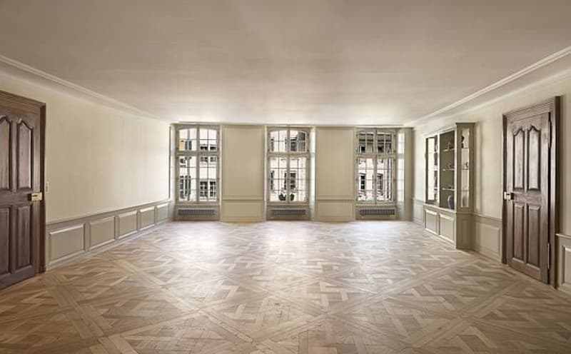 Appartamento signorile con grande terrazza nel centro storico di Berna (6)
