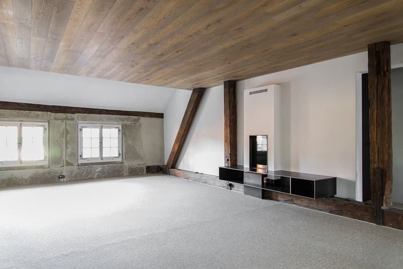 Appartamento loft con galleria nella città vecchia di Berna (7)