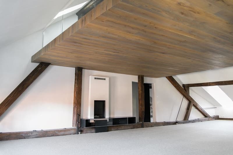 Appartamento loft con galleria nella città vecchia di Berna (3)