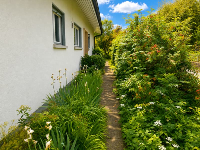 Freistehendes Einfamilienhaus mit viel Potenzial an zentraler, ruhiger Lage in Jegenstorf (24)