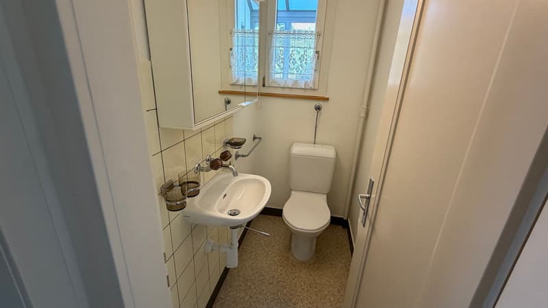 Single-family house with large garden (5)