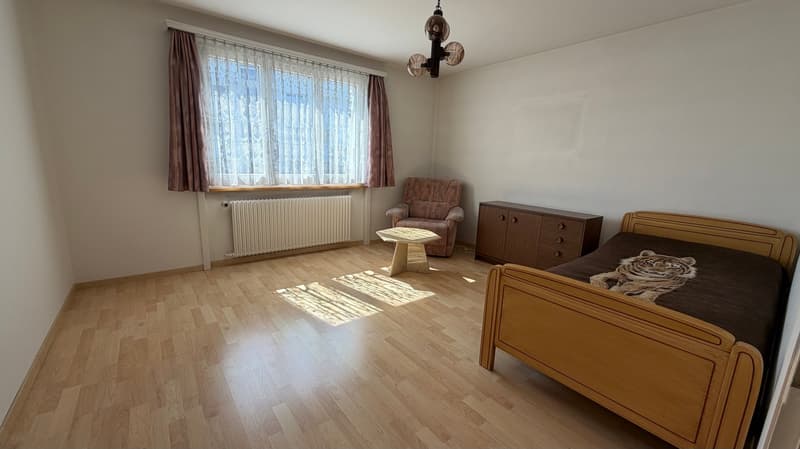 Single-family house with large garden (4)