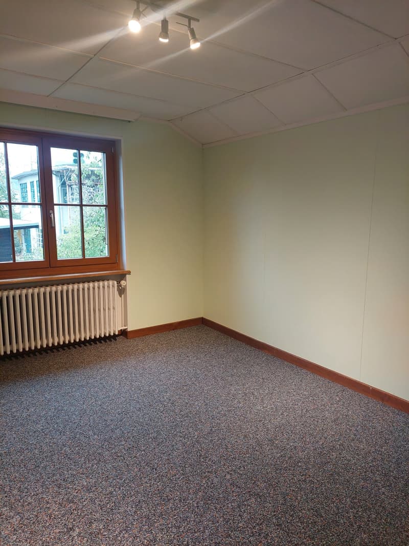 Einfamilienhaus freistehend mit zusätzlichem Umschwung und Garage (18)