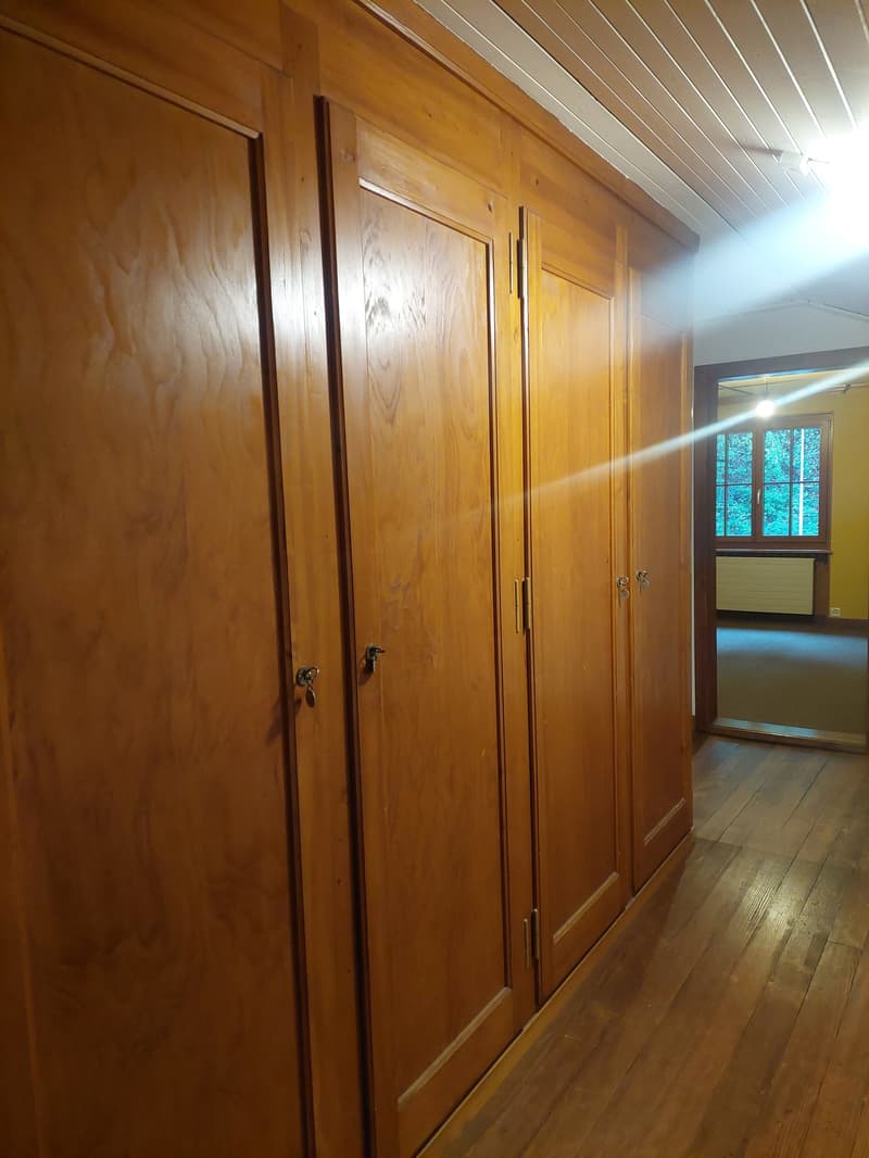 Einfamilienhaus freistehend mit zusätzlichem Umschwung und Garage (21)
