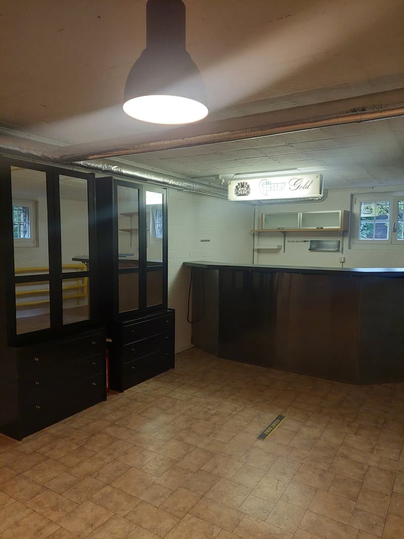 Einfamilienhaus freistehend mit zusätzlichem Umschwung und Garage (27)