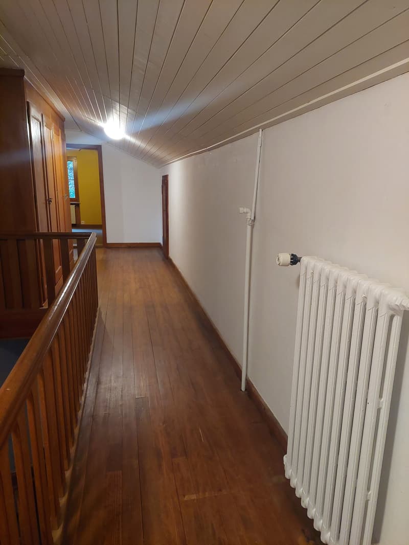 Einfamilienhaus freistehend mit zusätzlichem Umschwung und Garage (20)