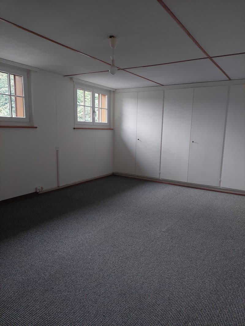 Einfamilienhaus freistehend mit zusätzlichem Umschwung und Garage (23)