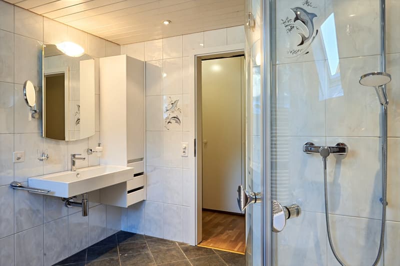 6.5-Zimmerwohnung mit grossem, befahrbarem Lagerraum (4 m Höhe). (8)
