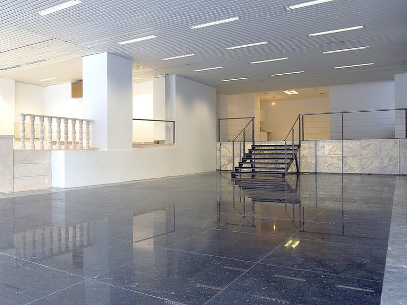Spazio commerciale attraente di 250 m² in una posizione di alto livello a Zurigo Oerlikon! (3)