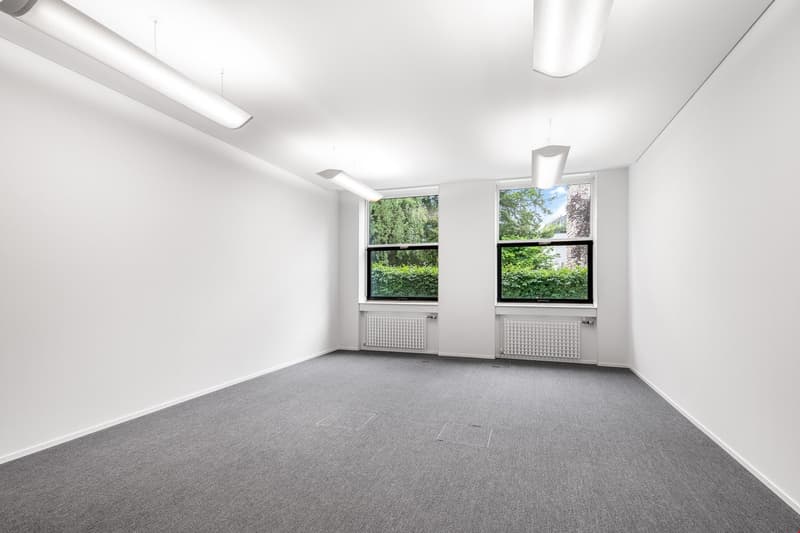 Empty room, white walls, gray carpet, fluorescent ceiling lights, 2 windows with radiators, no visible furniture