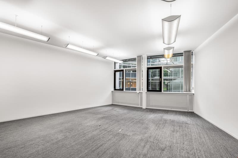 empty room, white walls, ceiling lights, carpeted floor, large windows