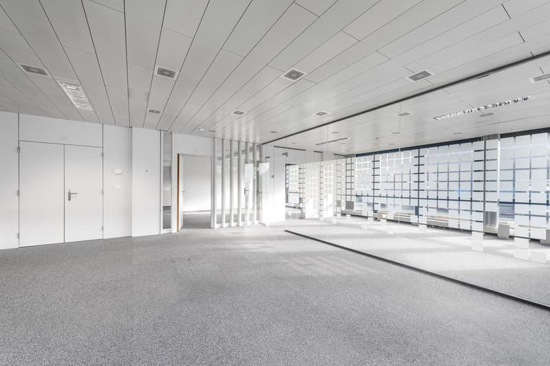 empty room, white walls, gray carpet, glass walls, white doors