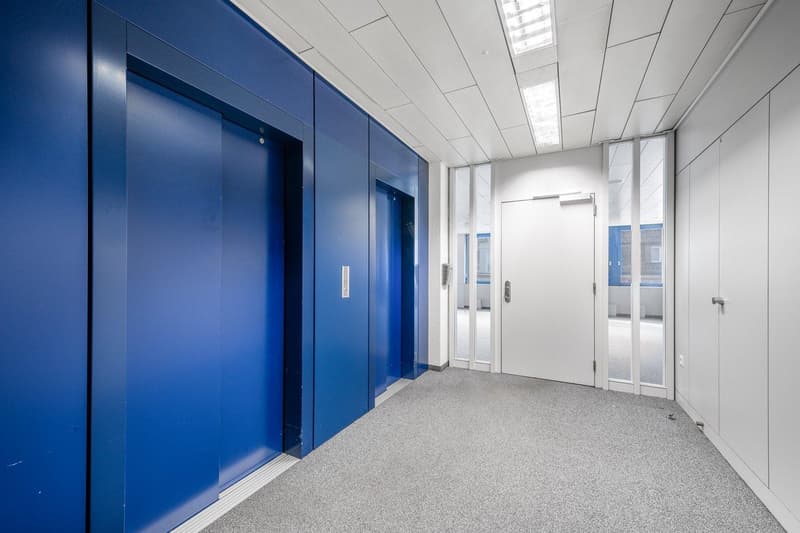 elevator, blue walls, white ceiling, white doors, glass doors, gray carpet