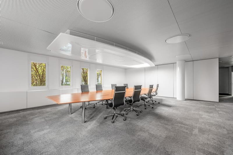 modern office room, long wooden table, black chairs, white walls, windows, gray carpet
