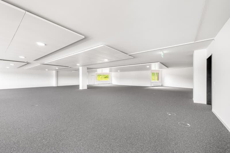 empty room, white walls, gray carpet, recessed lighting, central columns, glass windows with yellow blinds
