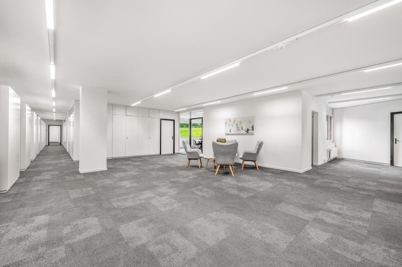 Empty room with gray carpet, modern chairs, modern lighting, artwork on wall, modern office setting