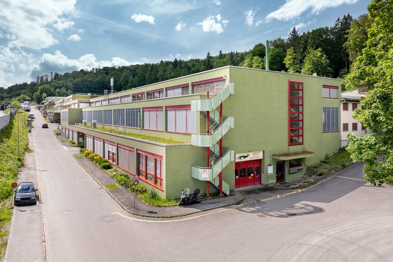 2 story building, green facade, red frames, glass doors, rooftop, green grass
