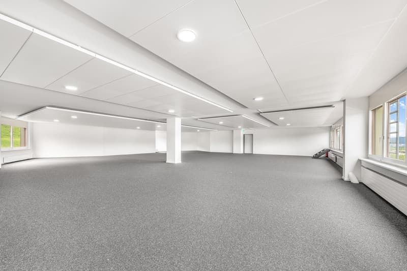 empty room, white walls, white ceiling, gray carpet, windows