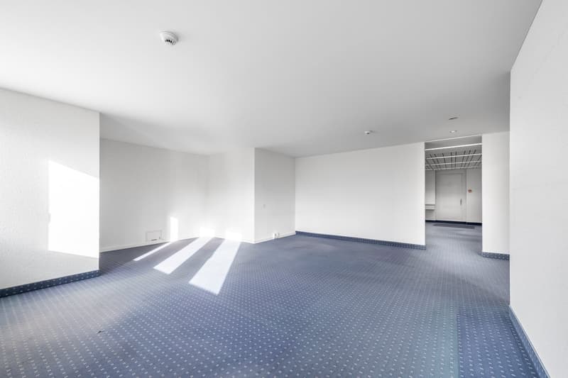 empty room, white walls, blue carpet, white ceiling, white door