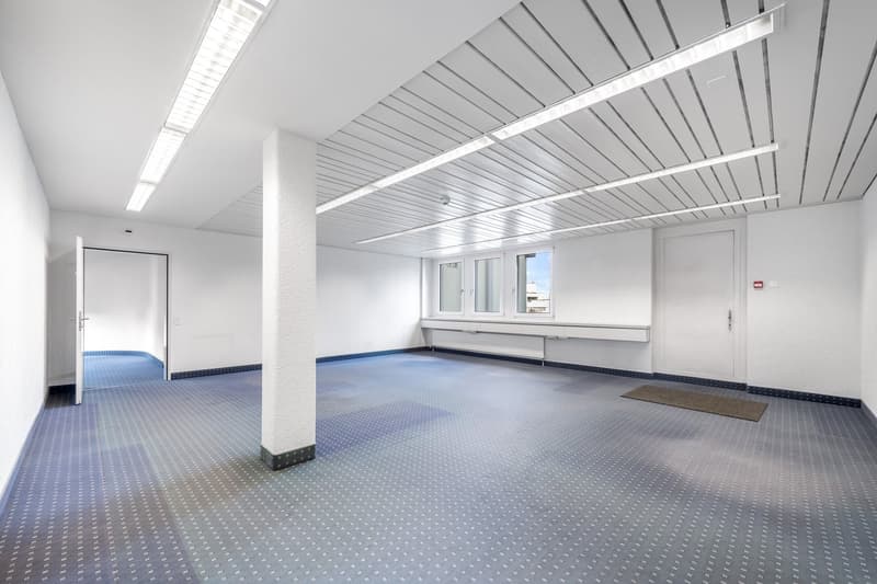 Empty room with white walls, blue carpet, white ceiling with lights, two doors, one with a window, and a small rug.