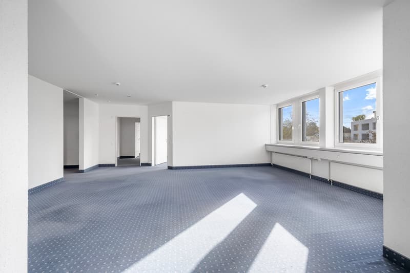empty room, white walls, blue carpet, three windows, two doors