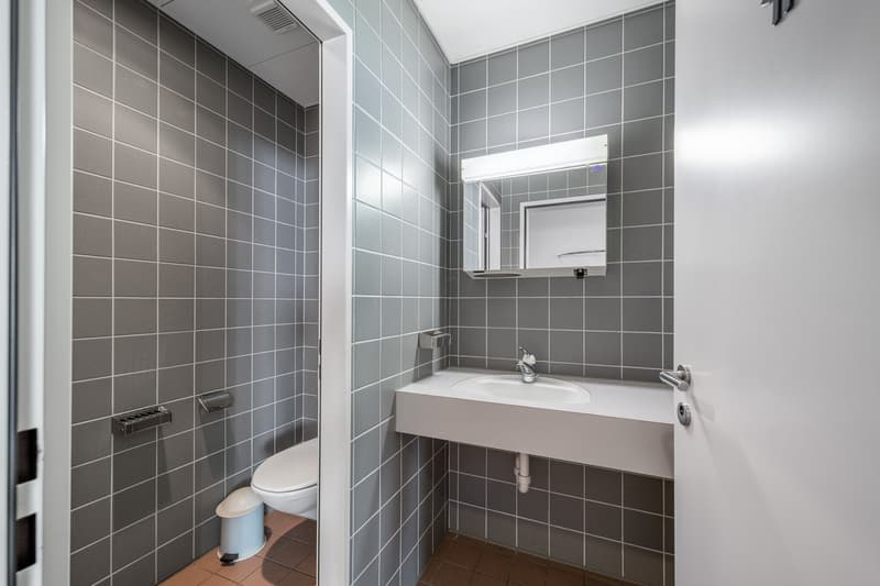 small bathroom with toilet, sink, and mirror