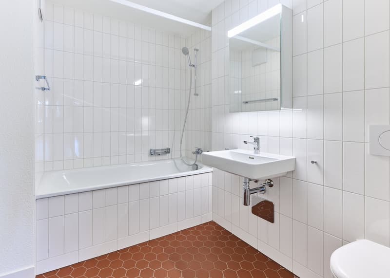 Erstvermietung - Exklusive 4,5-Zimmer-Wohnung in Zürich Wollishofen (4)