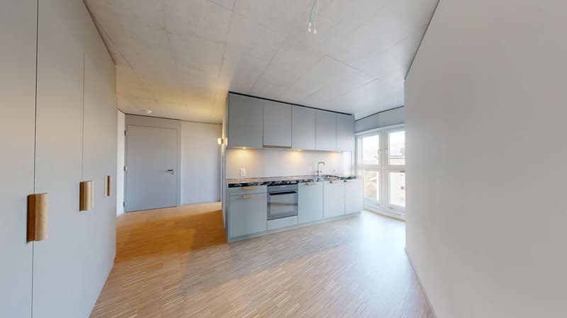 PANORAMA & URBAN: First Rental "SPHINX" (4)