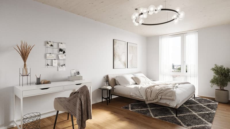 Unique 4.5-room apartment in Schöftland - New building with comfort (3)