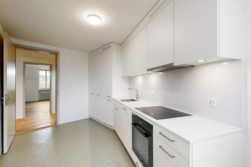 Exclusive attic apartment with spacious roof terrace in the heart of Zurich (3)