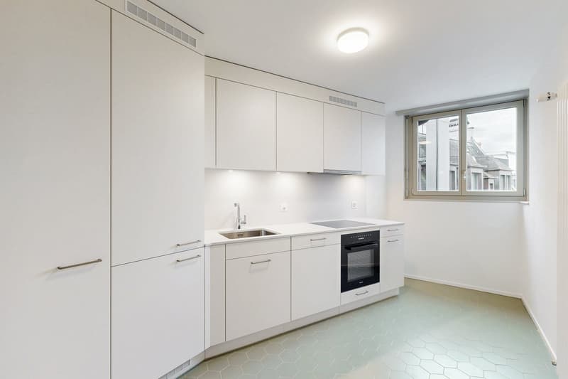 Exclusive attic apartment with spacious roof terrace in the heart of Zurich (2)