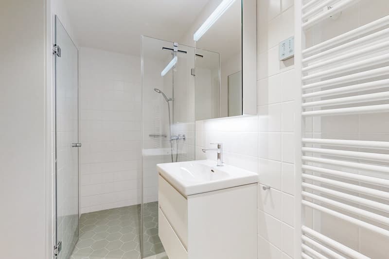 Exclusive attic apartment with spacious roof terrace in the heart of Zurich (10)